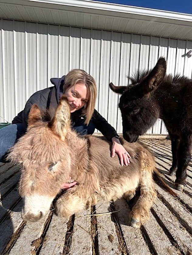 category article image